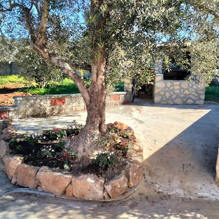Sgm Casa Vacanze Masainas Екстериор снимка